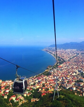 ORDU Firmalar, Telif iste