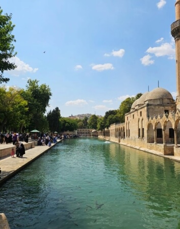 ŞANLIURFA Firmalar, Telif iste