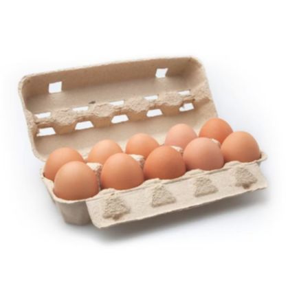 Yumurta Yumurta ürünleri