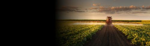 PERFORM PROJE YÖNETİMİ LTD.ŞTİ.