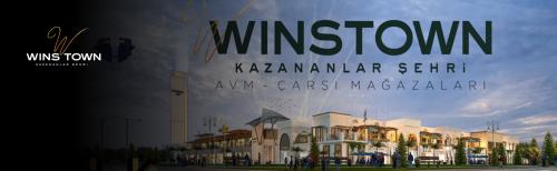 Winstown AVM