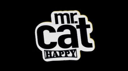 Mr.Cat happy