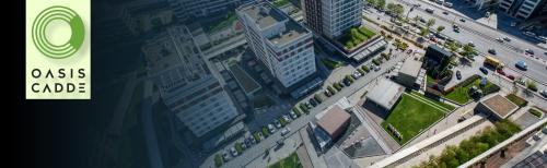 Oasis Cadde